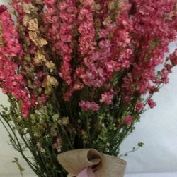 Ramo Delphinium Seco