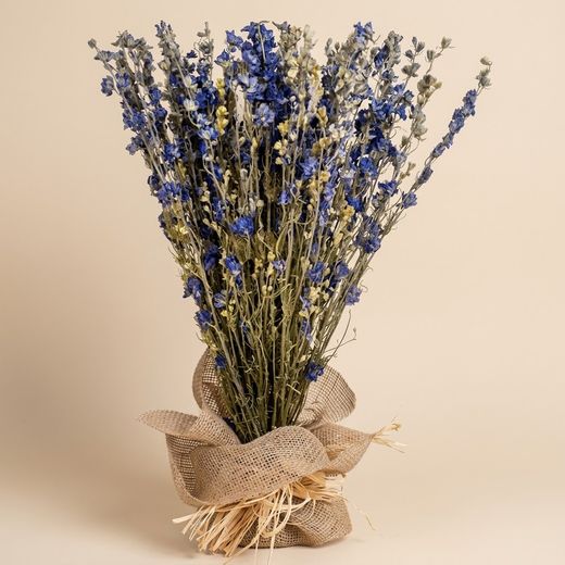 Bouquet de delphiniums bleus séchés