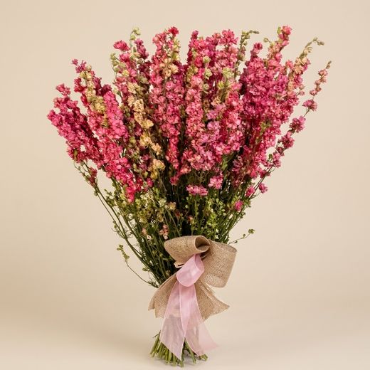 Bouquet de delphiniums séchés