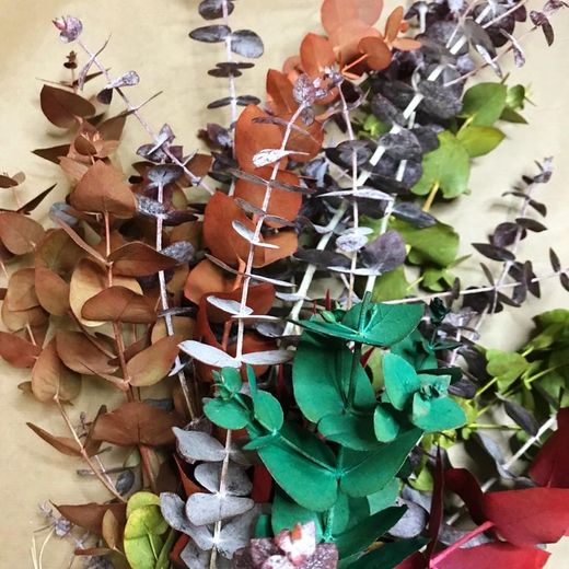 Ramo Eucalyptus Mix