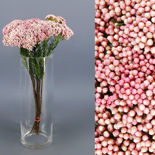 Buquê de Flores de Arroz