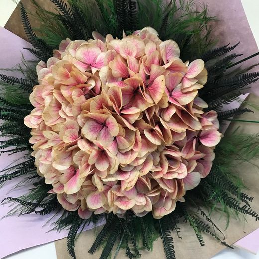 Ramo Hortensias y helechos preservados
