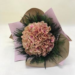 Ram Hortensias i falgueres preservades