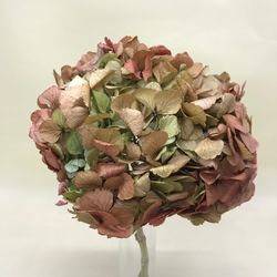 Ram Hortensias i falgueres preservades