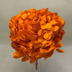 Ram Hortensias i falgueres preservades