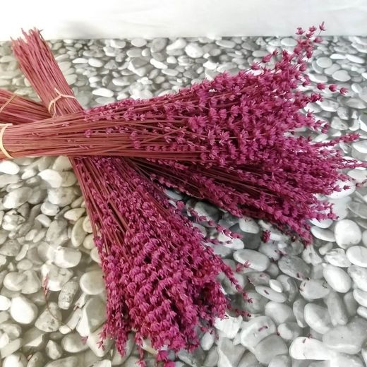 Ramo Lavanda Preservada Teñida Pack 3 ramos