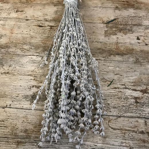 Ramo Lavanda Preservada Teñida Pack 3 ramos