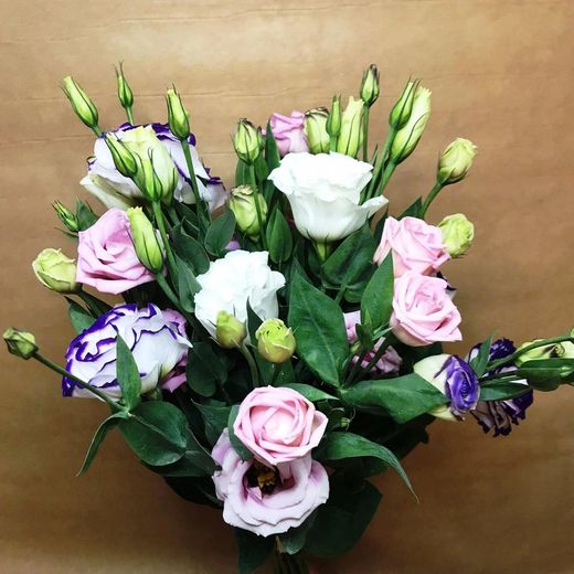 Ramo Lisianthus
