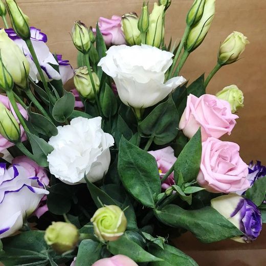 Ramo Lisianthus