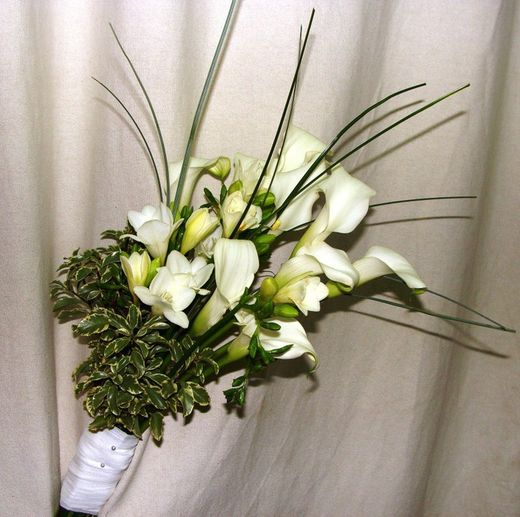 Ramo Novia 2011