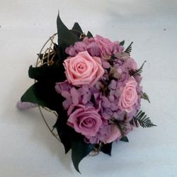 Ram Núvia Edèn Preservat