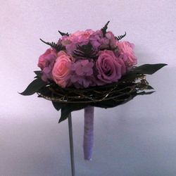 Ram Núvia Edèn Preservat