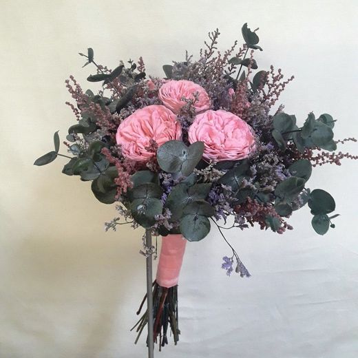 Ram Núvia Insular Preservat