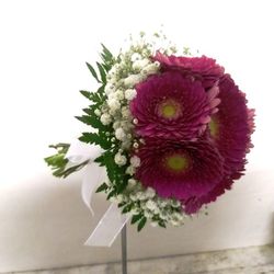 Ram Núvia Tardor Intens