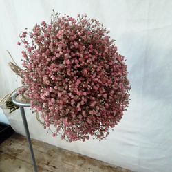 Ram Núvia Paniculata Rosa Preservat