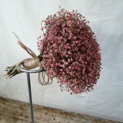 Ram Núvia Paniculata Rosa Preservat