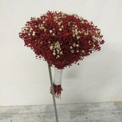 Ram Núvia Paniculata Rosa Preservat