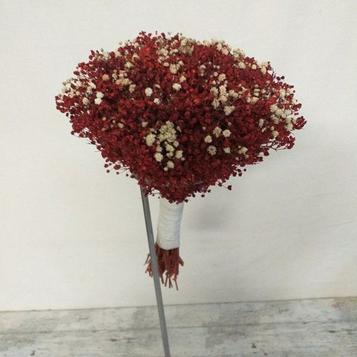 Ram Núvia Paniculata Rosa Preservat