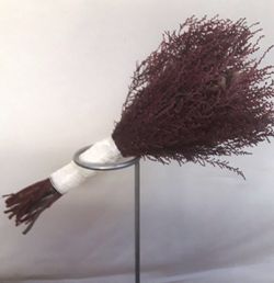 Ram Núvia Stoebe Preservat