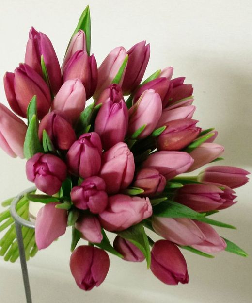 Ramo Novia Tulipanes Laura