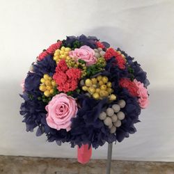 Ram Núvia Yolanda Preservat