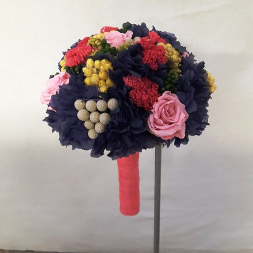 Ram Núvia Yolanda Preservat