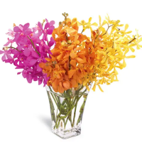 Ramo Orquideas Mokara 5 tallos