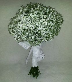 Bouquet de paniculata Laura