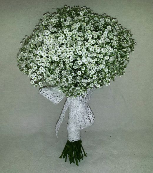Bouquet de paniculata Laura