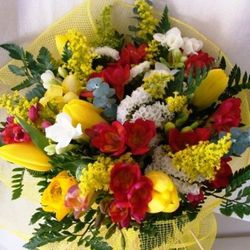 Ramo Primavera