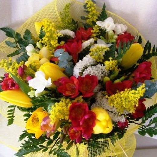 Ramo Primavera