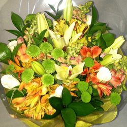 Ramo Primaveral