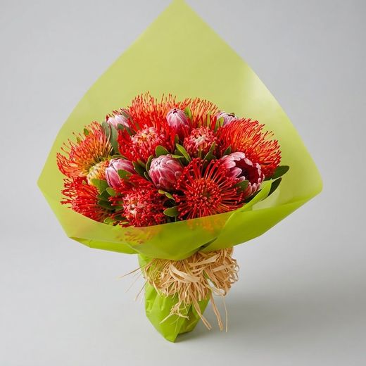 Ramo Proteas Pink Succession
