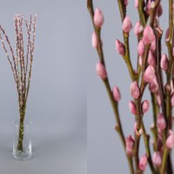 Ram Salix el Gat Colors 20 tiges