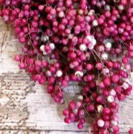 Ram Schinus Molle Sec