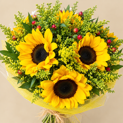 Bouquet de tournesols toscans