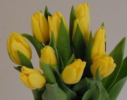 Ramo Tulipanes Primaverales