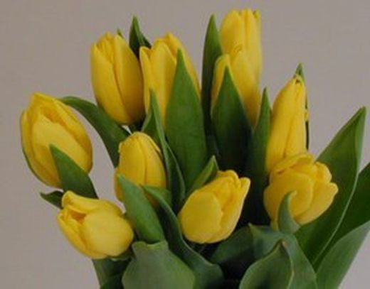Ramo Tulipanes Primaverales