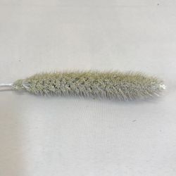 Bouquet d'été méditerranéen sec