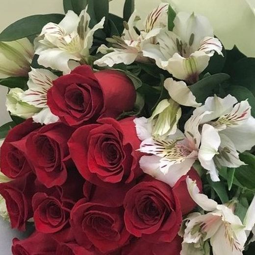 Ramos de 12 Rosas para regalar