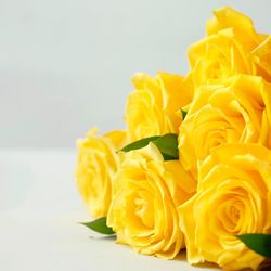 Ramos de 12 Rosas para regalar