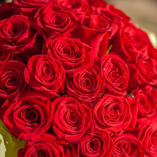 Ramos de 12 Rosas para regalar