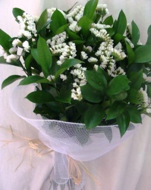Ramos de Flor Perpetua