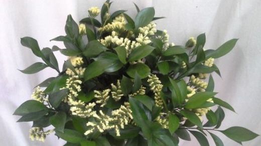 Ramos de Flor Perpetua