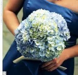Ramos Hortensias Preservadas