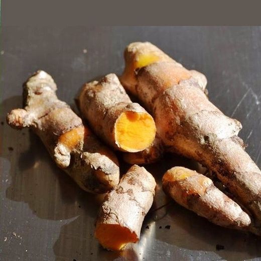 Rizomas de Cúrcuma