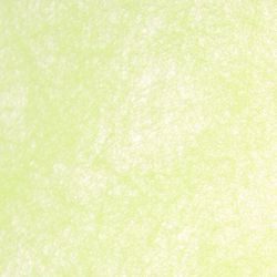 Rollo Non Woven
