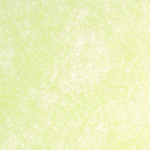 Rollo Non Woven