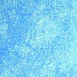 Rollo Non Woven