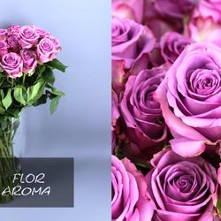 Eau fraîche Rosa